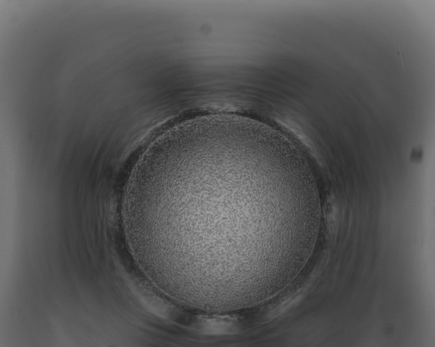 X0000089950359200707061125