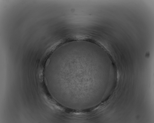 X0000089950360200707061125