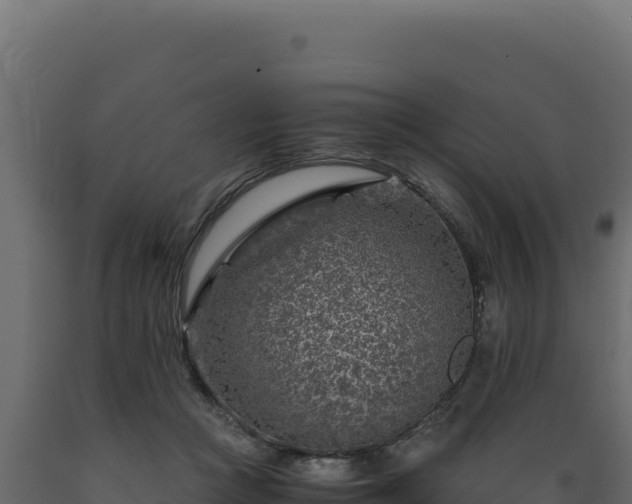 X0000089950361200707061125