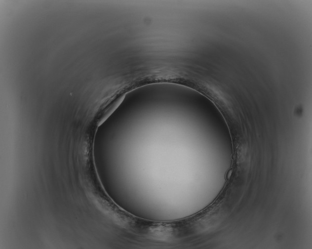 X0000089950362200707061125