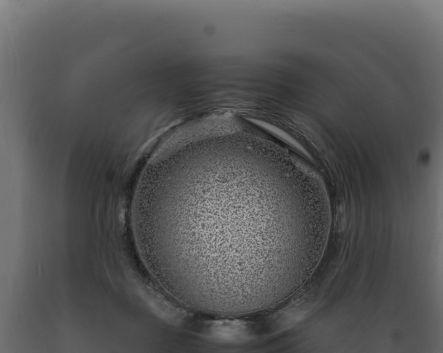 X0000089950363200707061125
