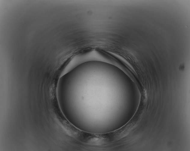 X0000089950364200707061125