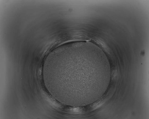 X0000089950365200707061125