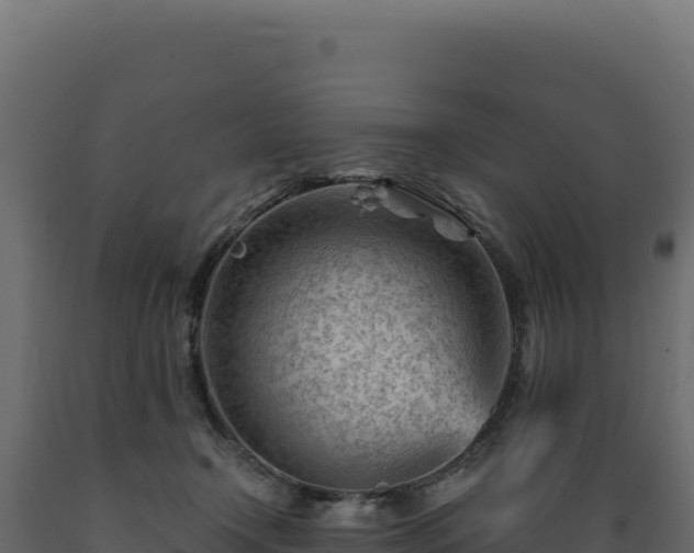 X0000089950366200707061125