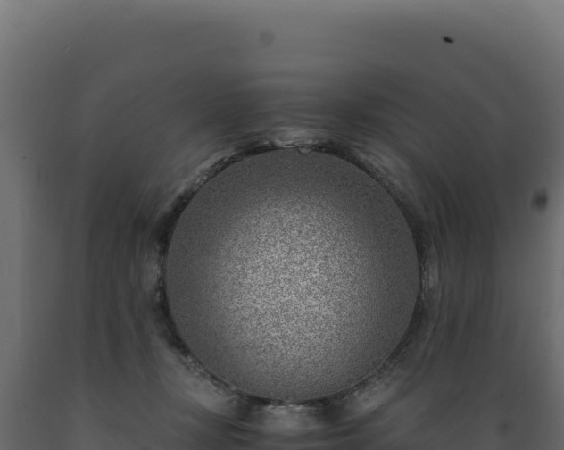 X0000089950367200707061125