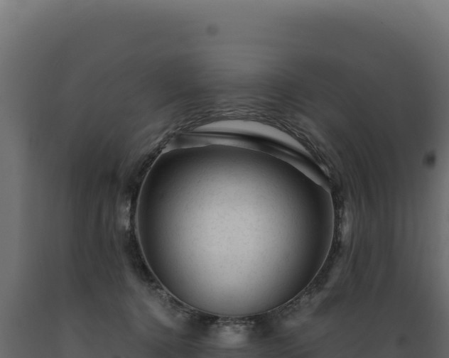 X0000089950368200707061125