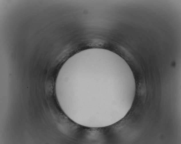 X0000089950370200707061125