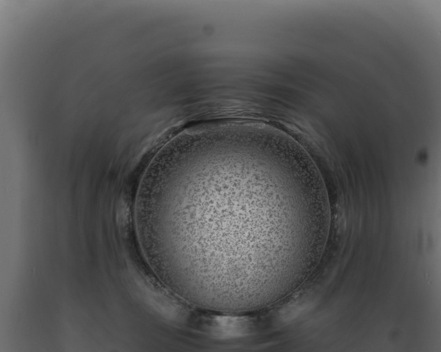 X0000089950371200707061125