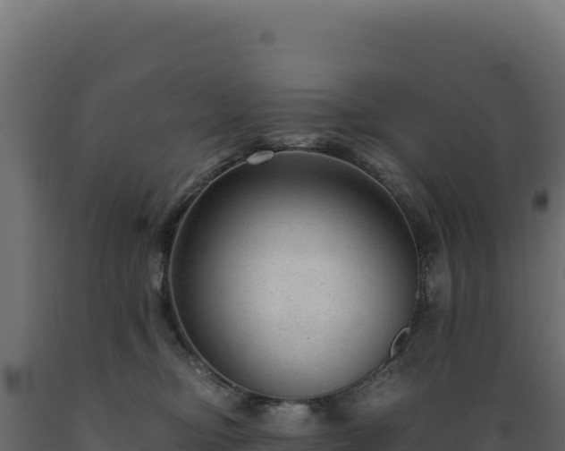 X0000089950374200707061125