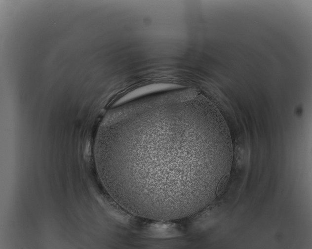 X0000089950375200707061125