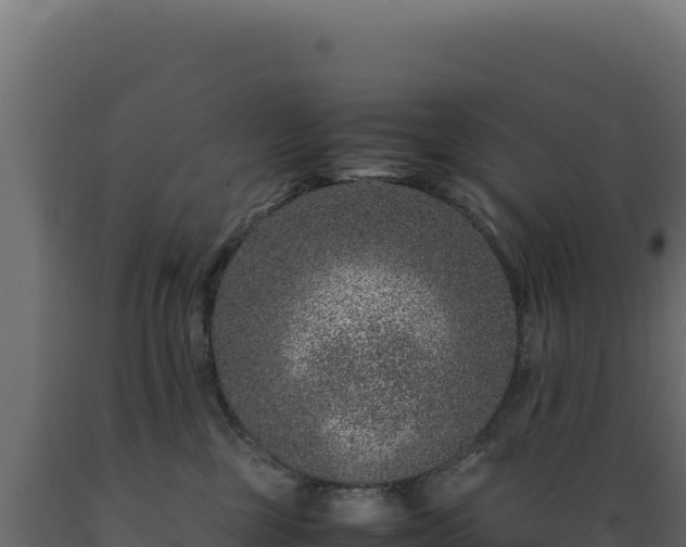X0000089950377200707061125