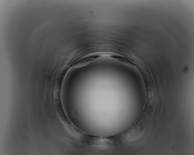 X0000089950379200707061125