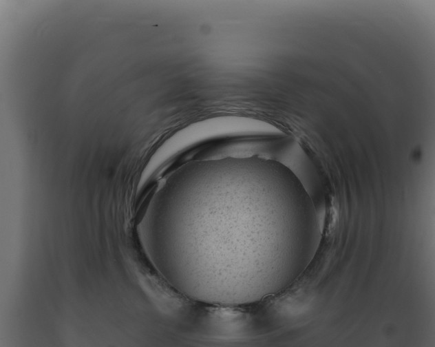 X0000089950380200707061125