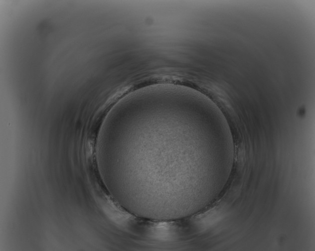 X0000089950382200707061125