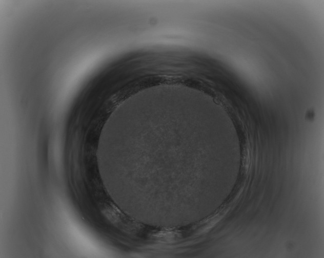 X0000089950383200707061125