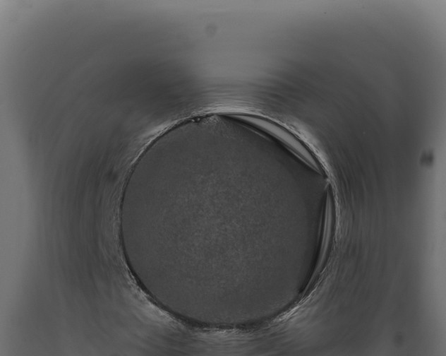 X0000089950385200707061125