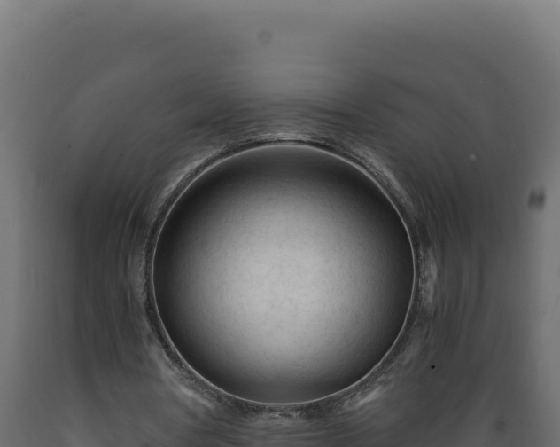 X0000089950386200707061125