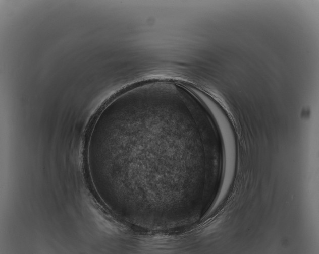 X0000089950387200707061125