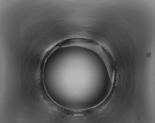 X0000089950388200707061125