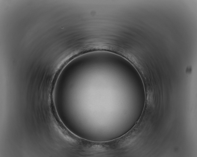 X0000089950390200707061124