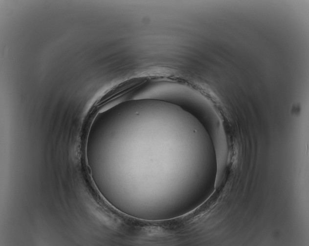 X0000089950392200707061124