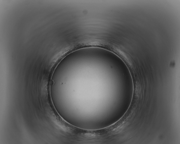 X0000089950394200707061124