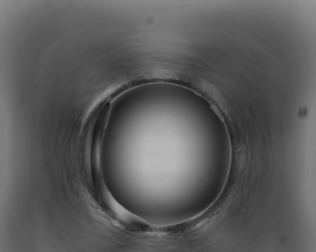 X0000089950395200707061124