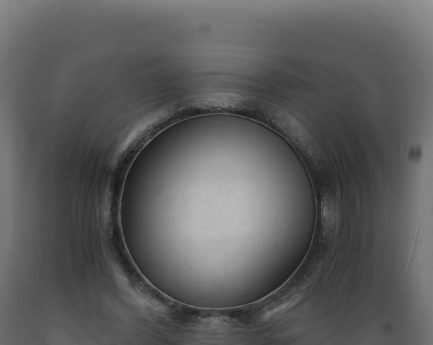 X0000089950396200707061124