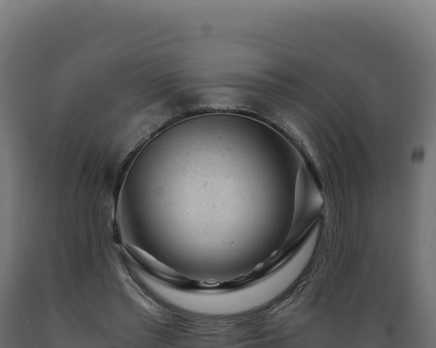 X0000089950397200707061124