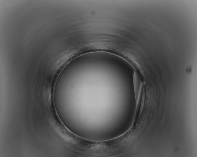 X0000089950398200707061124