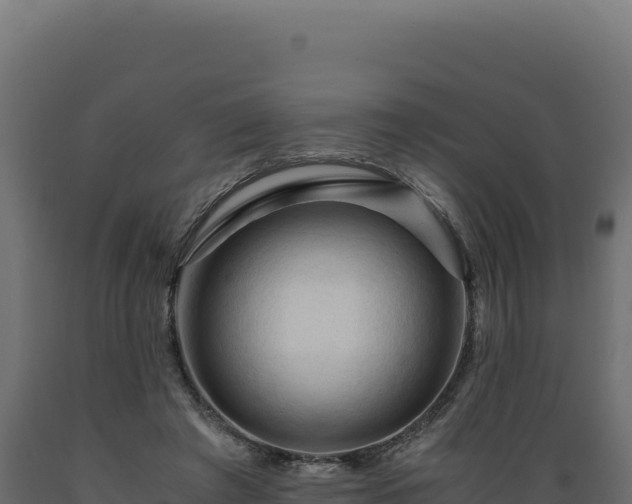 X0000089950401200707061124