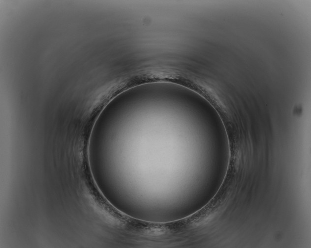 X0000089950402200707061124