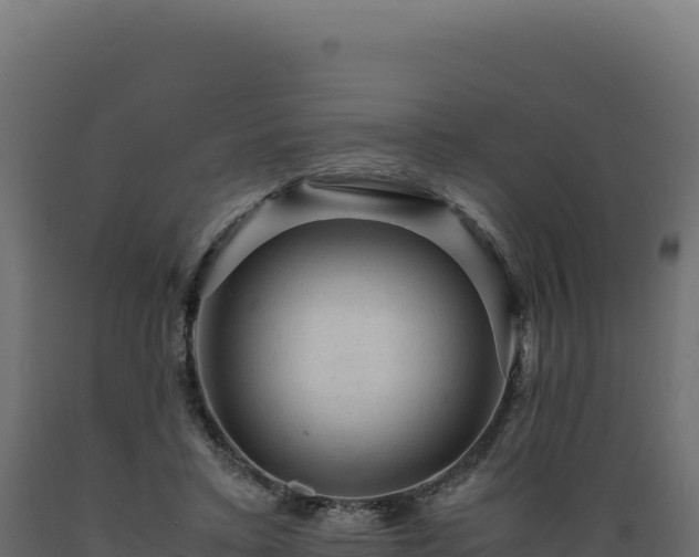 X0000089950403200707061124
