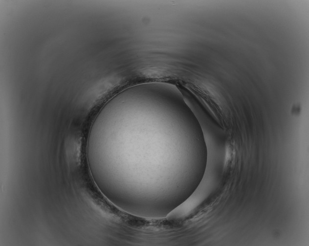 X0000089950404200707061124