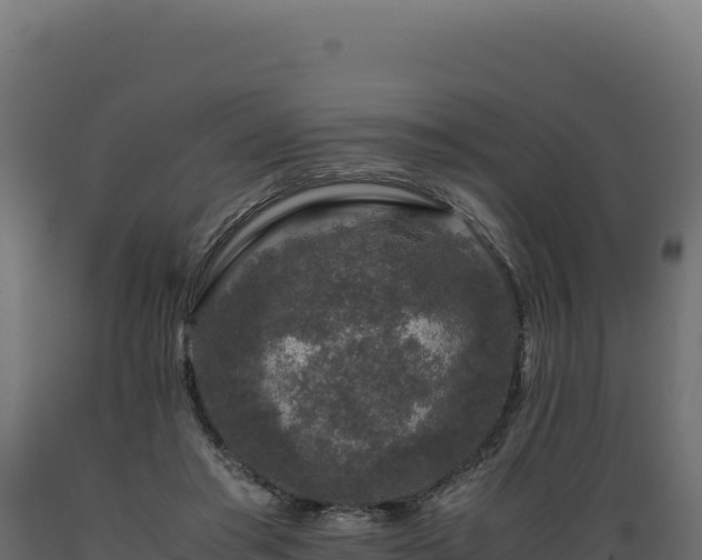 X0000089950405200707061124