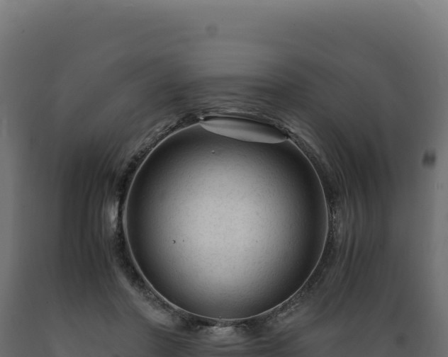 X0000089950406200707061124