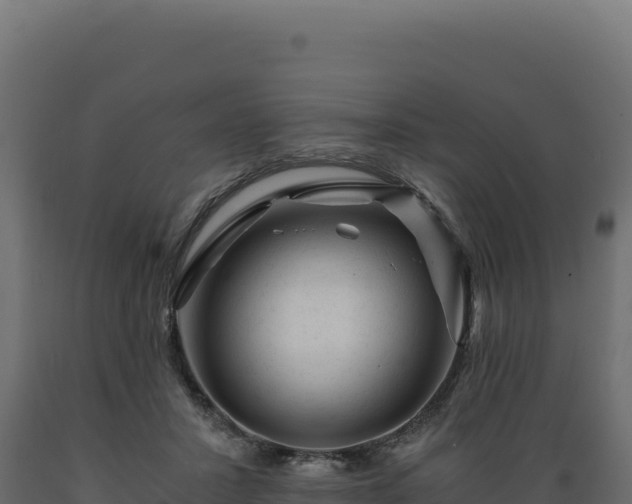 X0000089950407200707061124