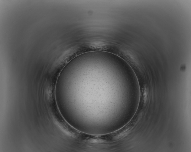 X0000089950408200707061124