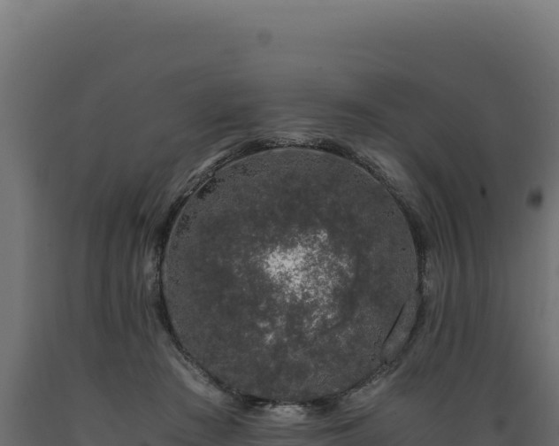 X0000089950409200707061124