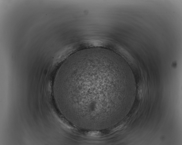 X0000089950410200707061124
