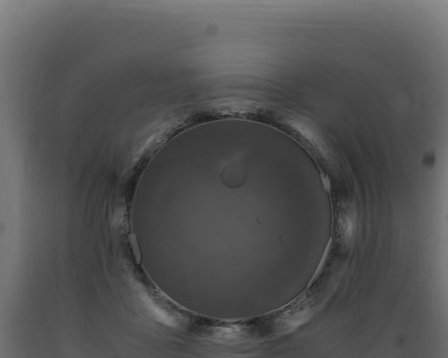 X0000089950411200707061124