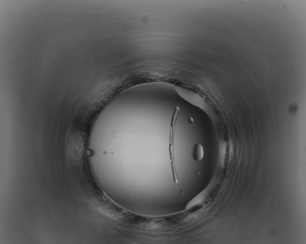 X0000089950412200707061124