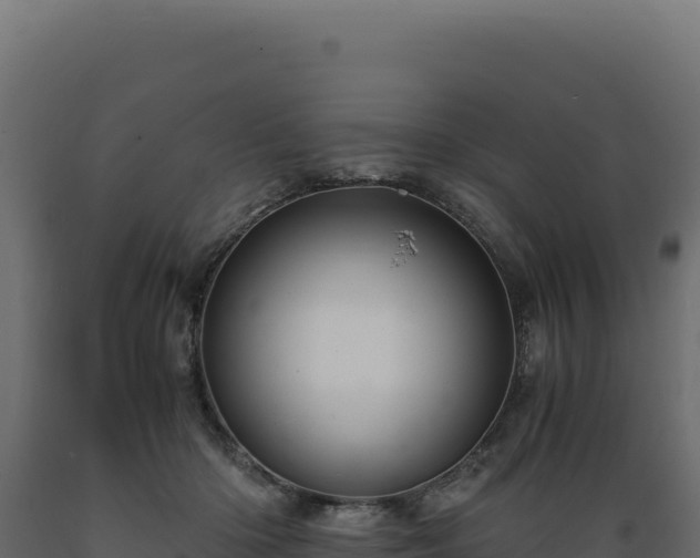 X0000089950414200707061124