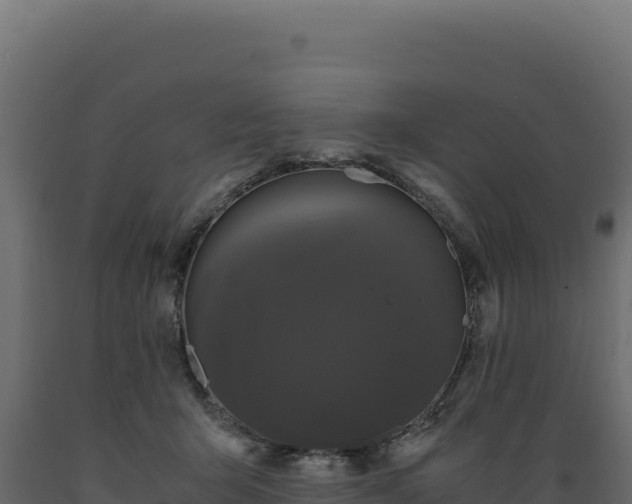 X0000089950415200707061124