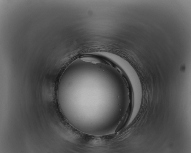 X0000089950416200707061124