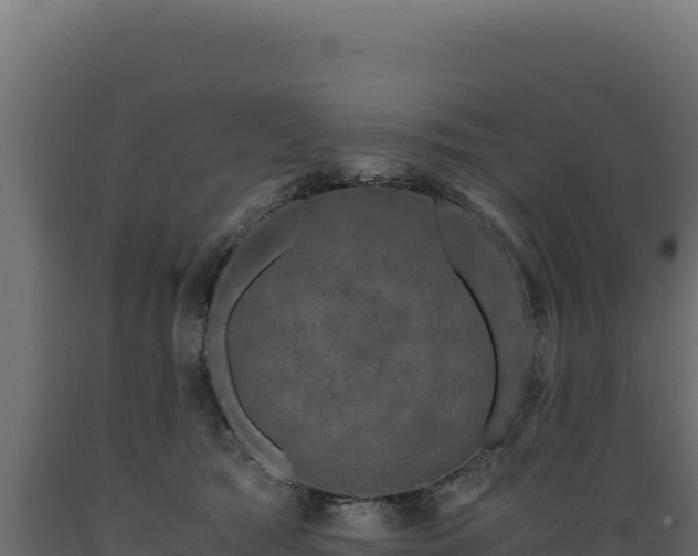 X0000089950417200707061124