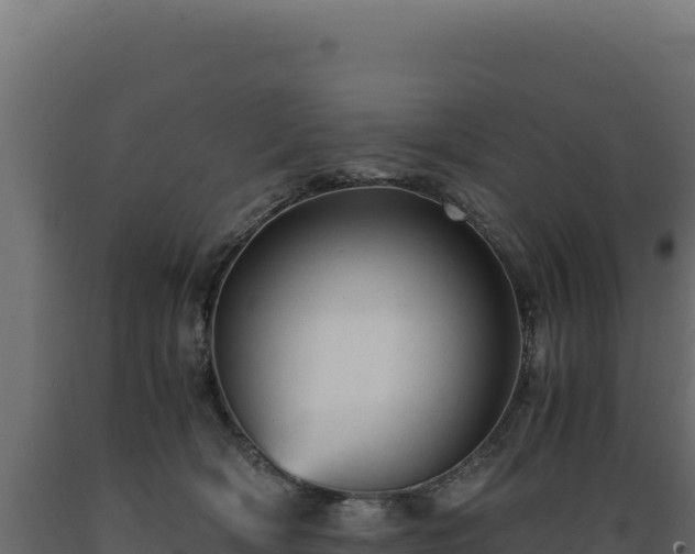 X0000089950418200707061124