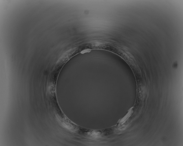 X0000089950419200707061124