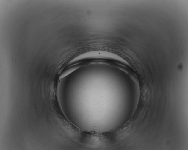 X0000089950420200707061124