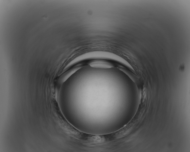 X0000089950421200707061124